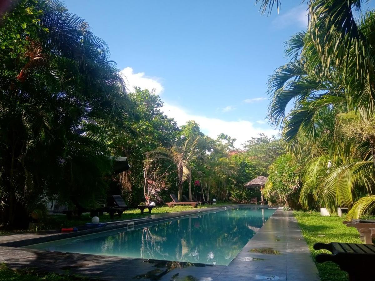 Turtle Eco Beach Matara Exterior photo