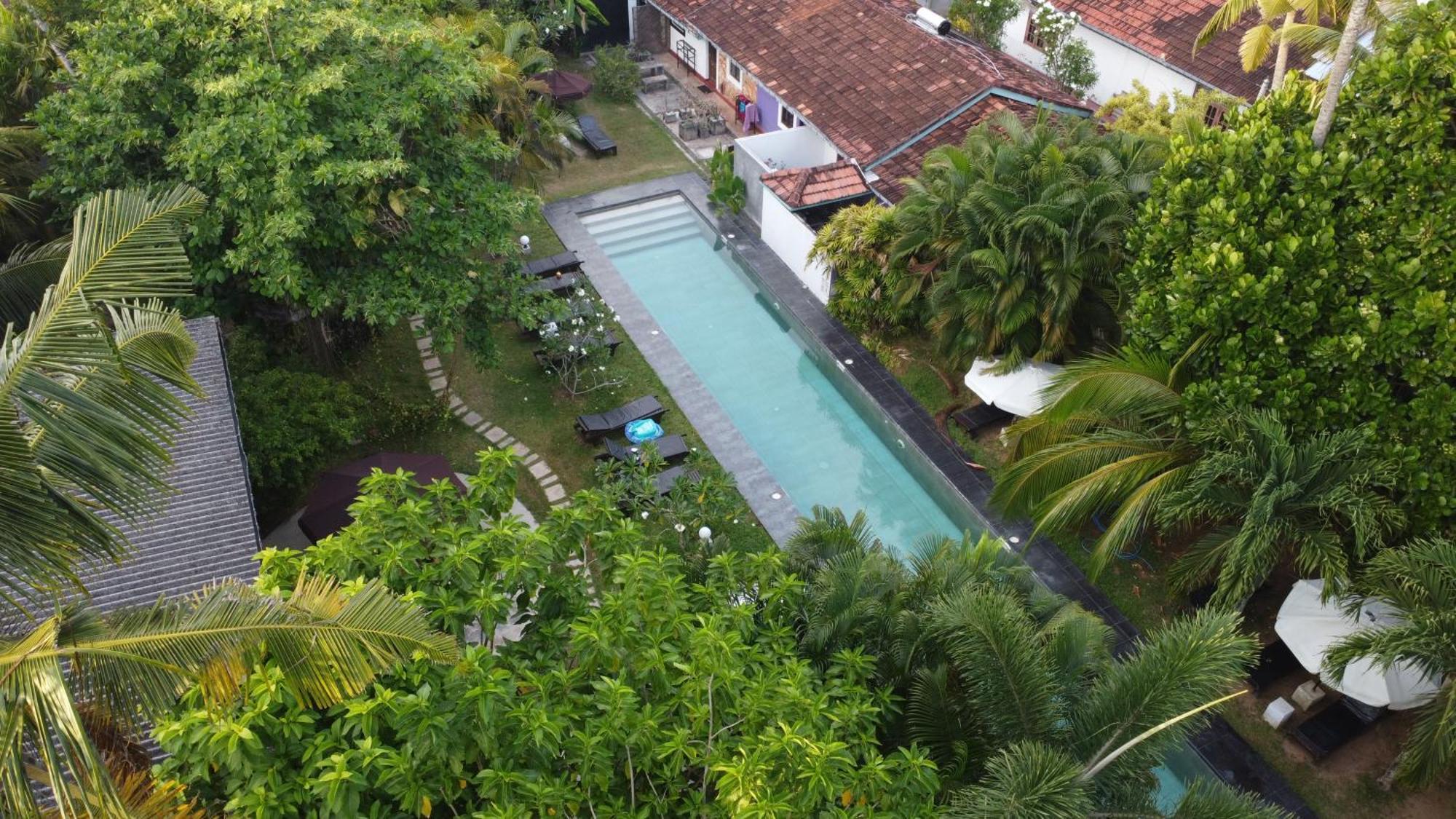 Turtle Eco Beach Matara Exterior photo