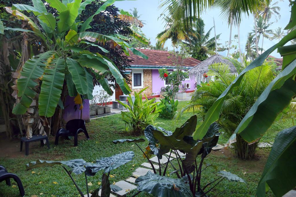 Turtle Eco Beach Matara Exterior photo