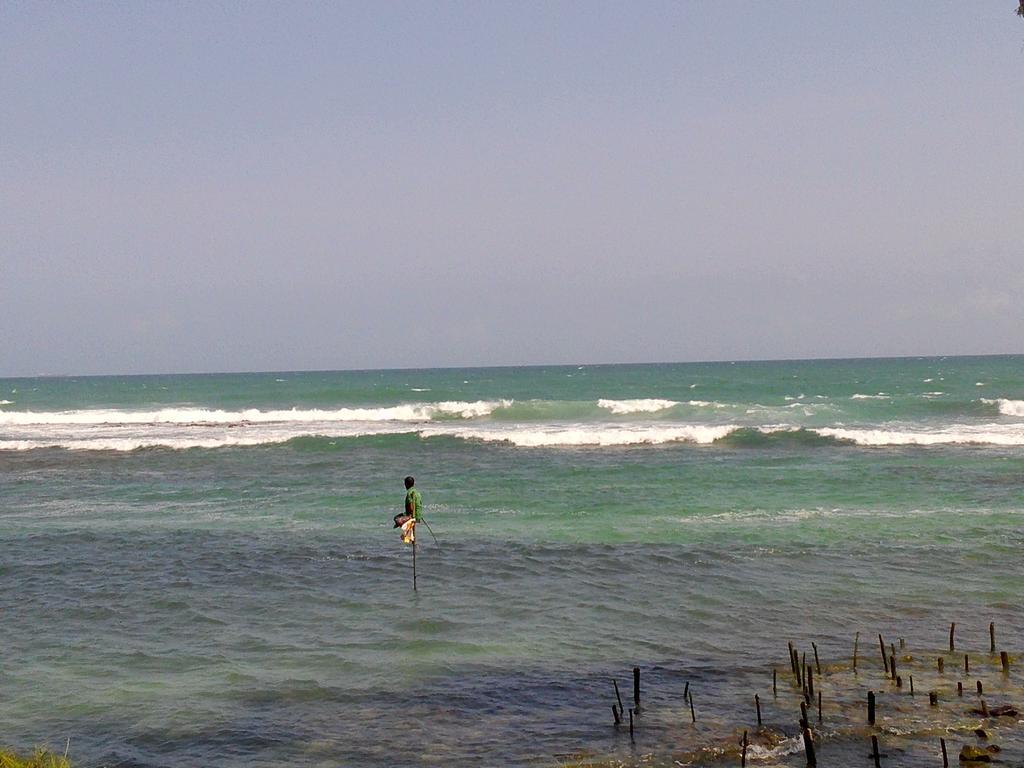 Turtle Eco Beach Matara Exterior photo