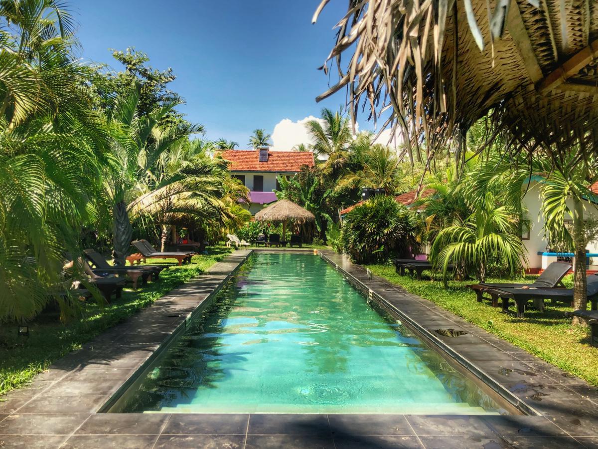 Turtle Eco Beach Matara Exterior photo