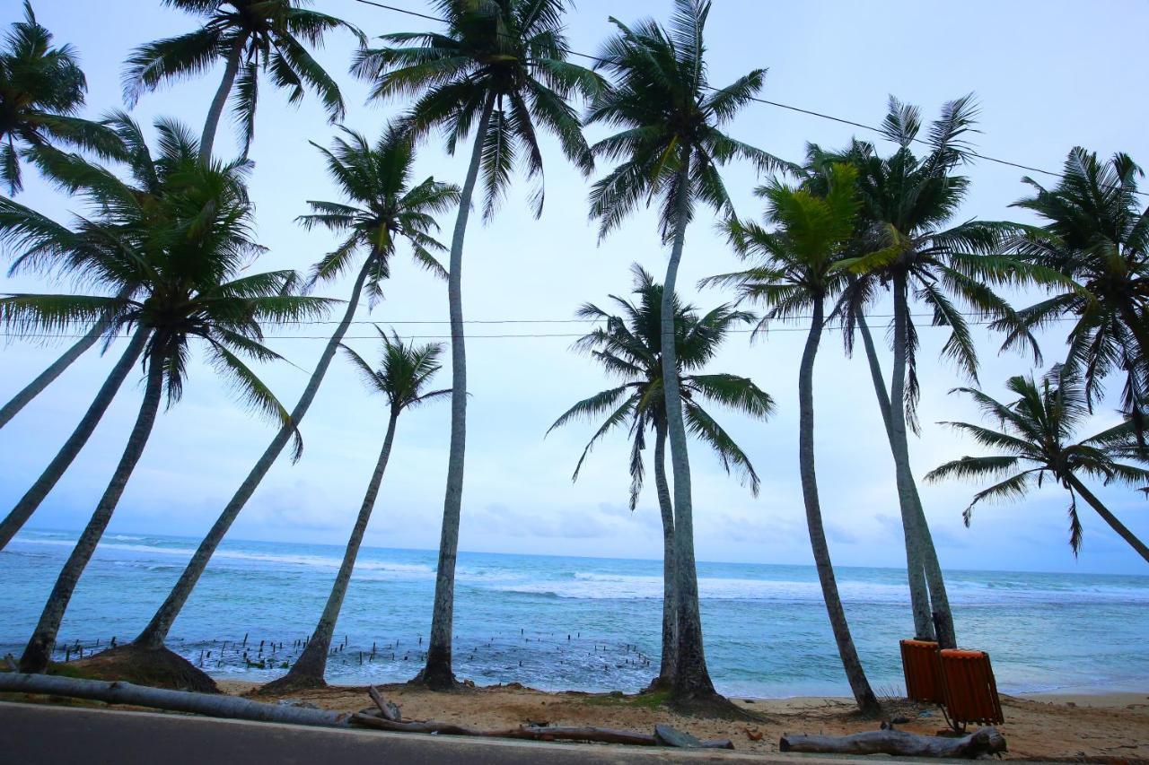Turtle Eco Beach Matara Exterior photo