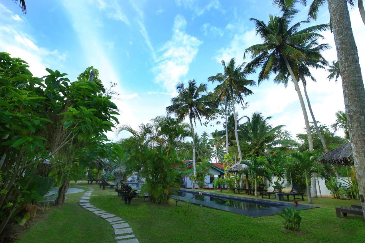 Turtle Eco Beach Matara Exterior photo