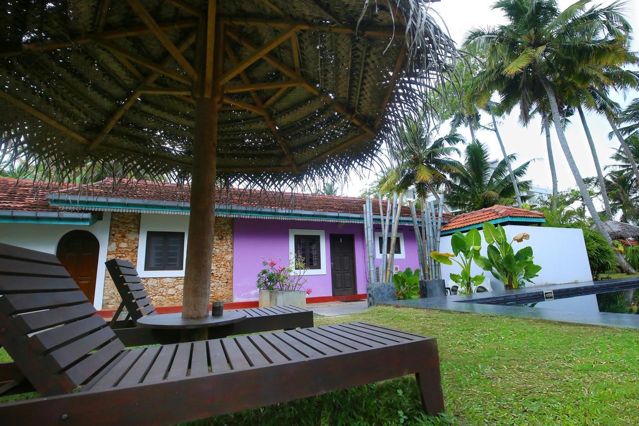 Turtle Eco Beach Matara Exterior photo